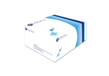 NaC20140105_DS_Lolina? Human AD-MSC StemKeep? all-around supplement kit，Xeno Free